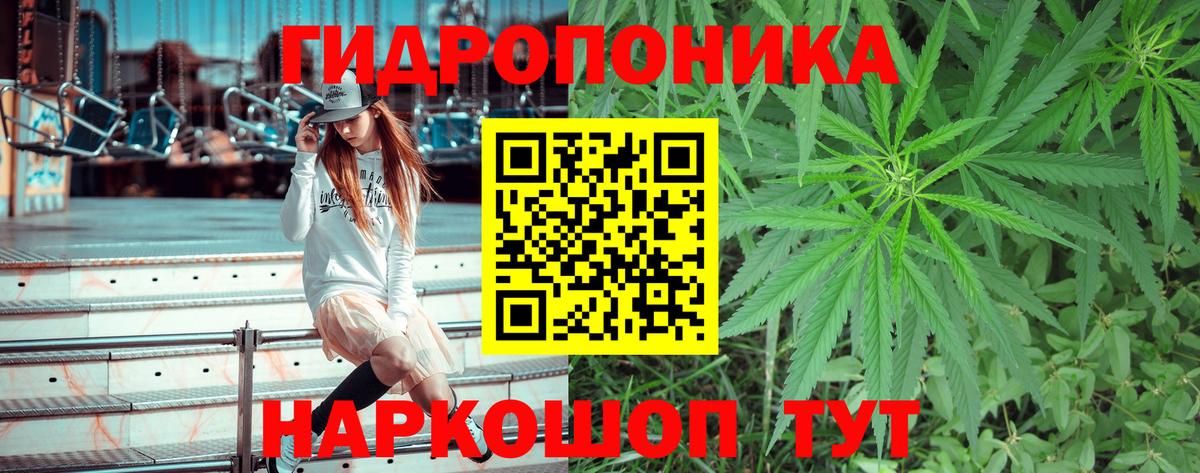 Марихуана AK-47  Вход с VPN  МАРИХУАНА план  Бошки марихуана AK-47  Карачаевск 